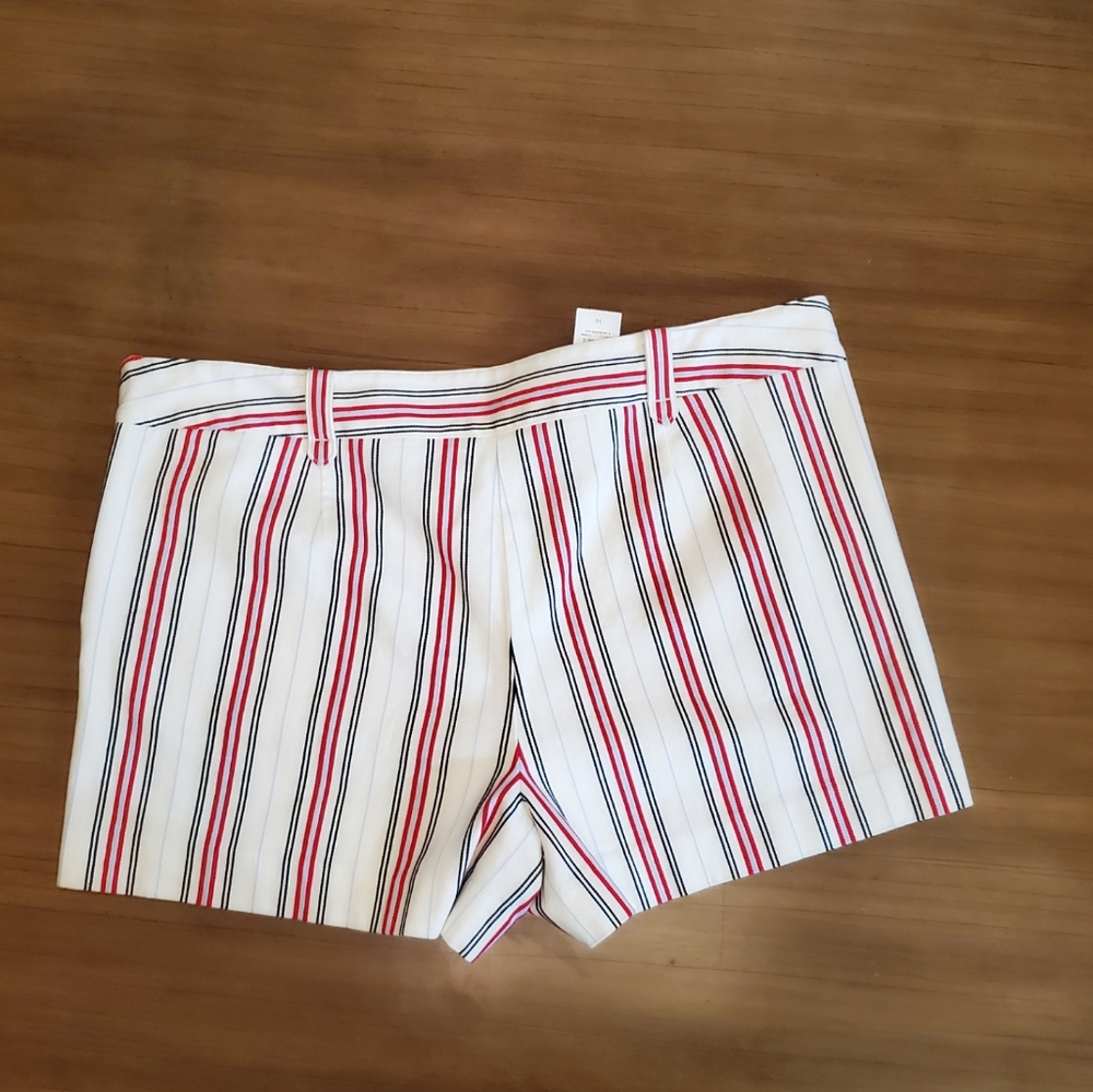 Ann Taylor LOFT Shorts NWT